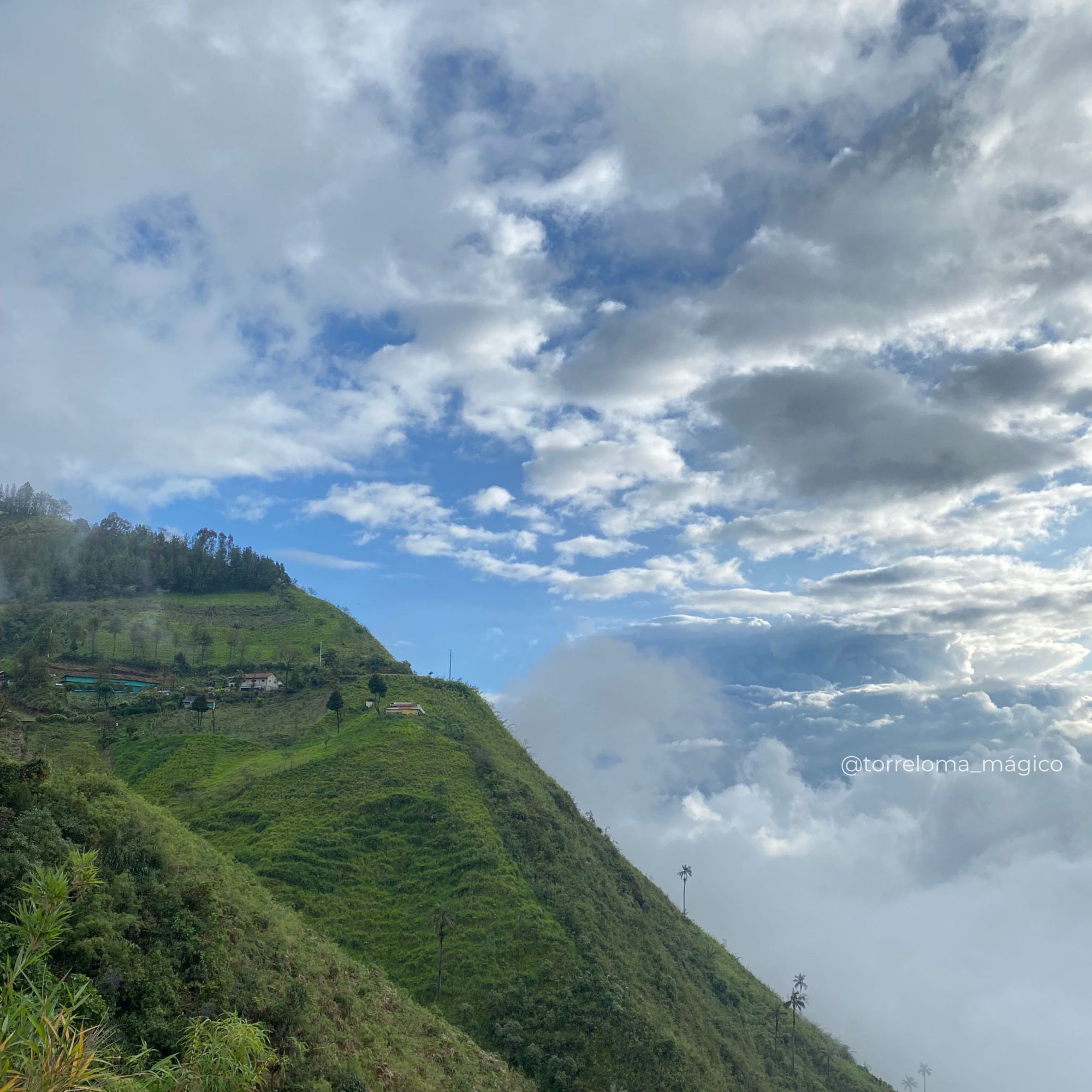 Vista de una ladera montañosa verde y empinada que desciende hacia un denso mar de nubes blancas en Torreloma. El cielo es de color azul vibrante con abundantes nubes dispersas.