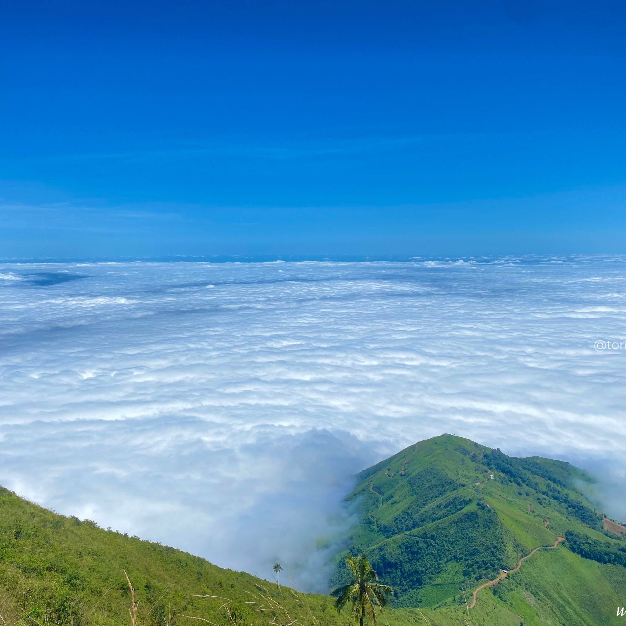 Vasto mar de nubes blancas cubriendo el valle de la comunidad La Envidia desde una cima de colina verde bajo un cielo azul intenso en Torreloma.