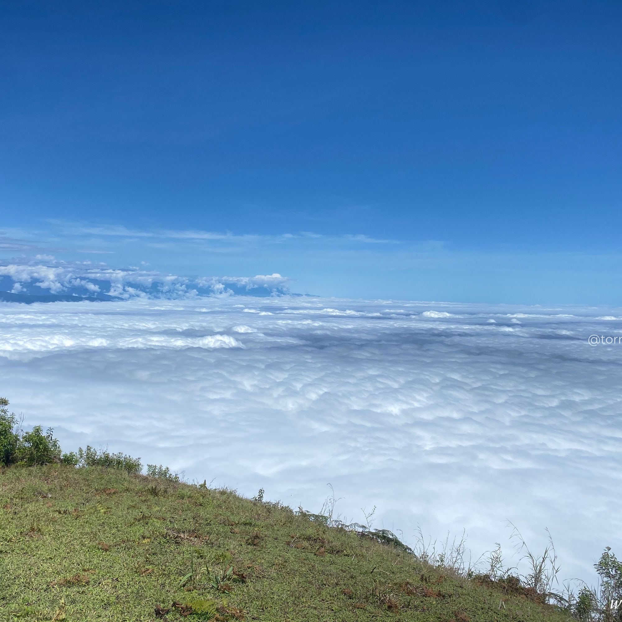 Vista panorámica desde una cima de colina con césped hacia un extenso mar de nubes blancas bajo un cielo azul despejado.